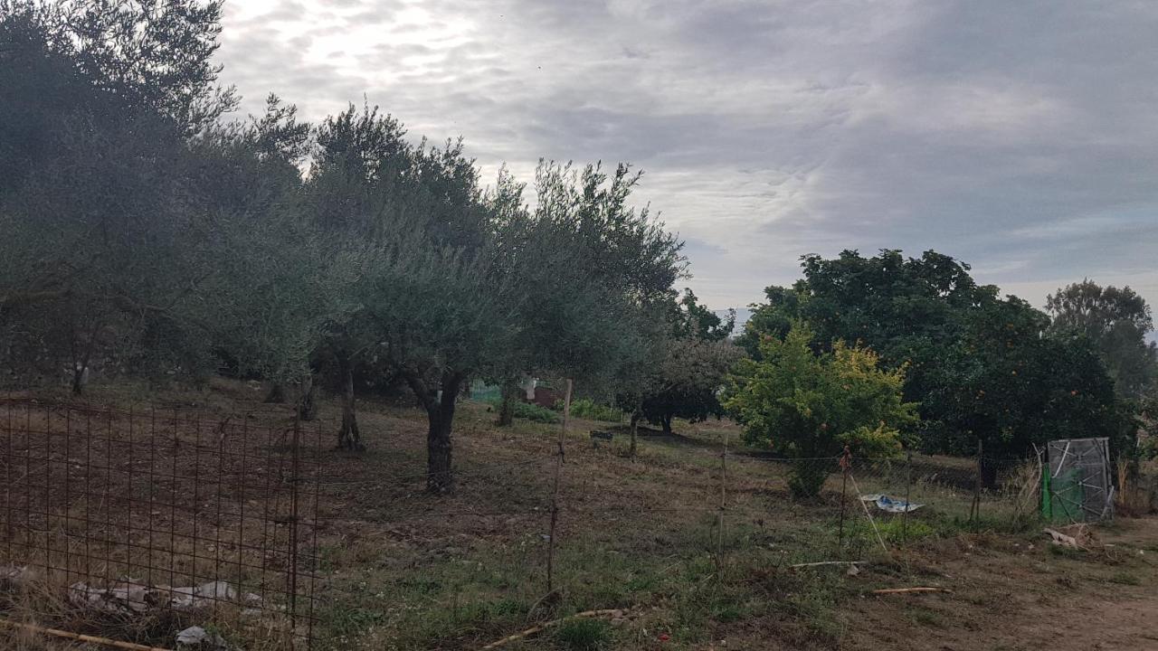 El Sitio De Su Recreo Holiday home *