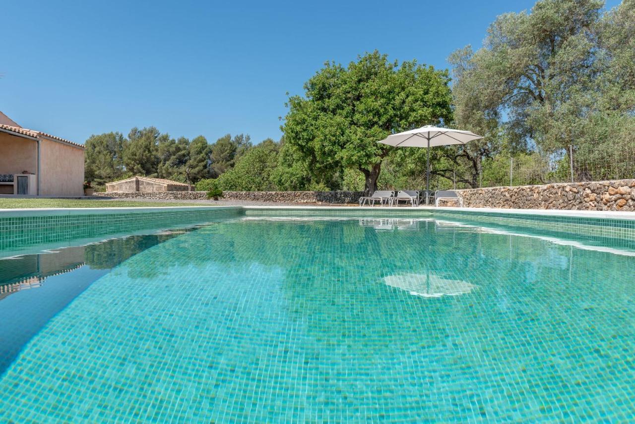 Villa Laurel Arta