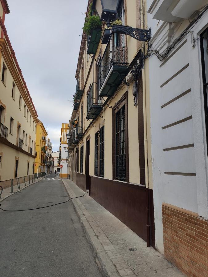 Feel The - Old Town * Sevilla