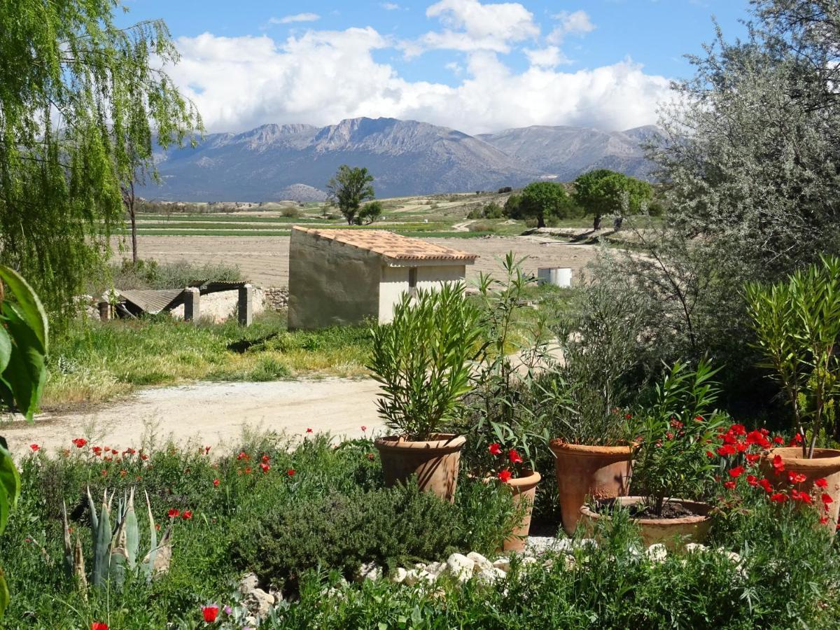 Cortijo Romero * Venta de Micena