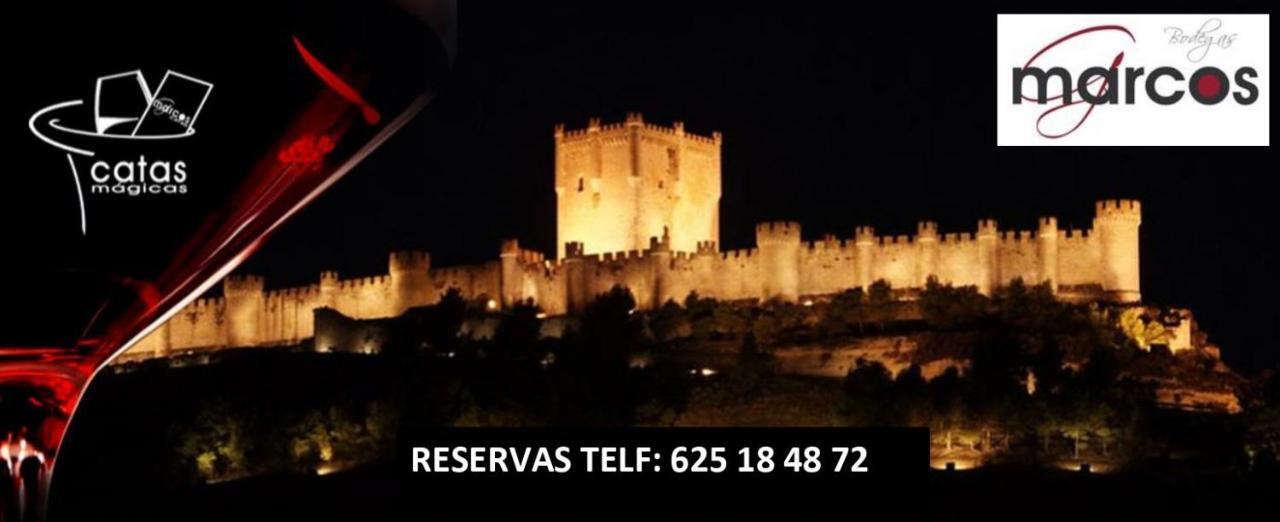 Holiday home Entrevinedos De Bodegas Marcos Penafiel