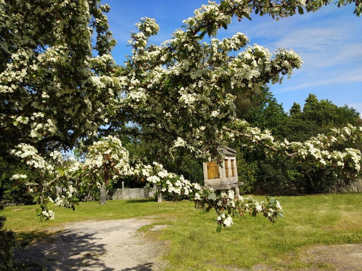 Maria Bargiela Country house