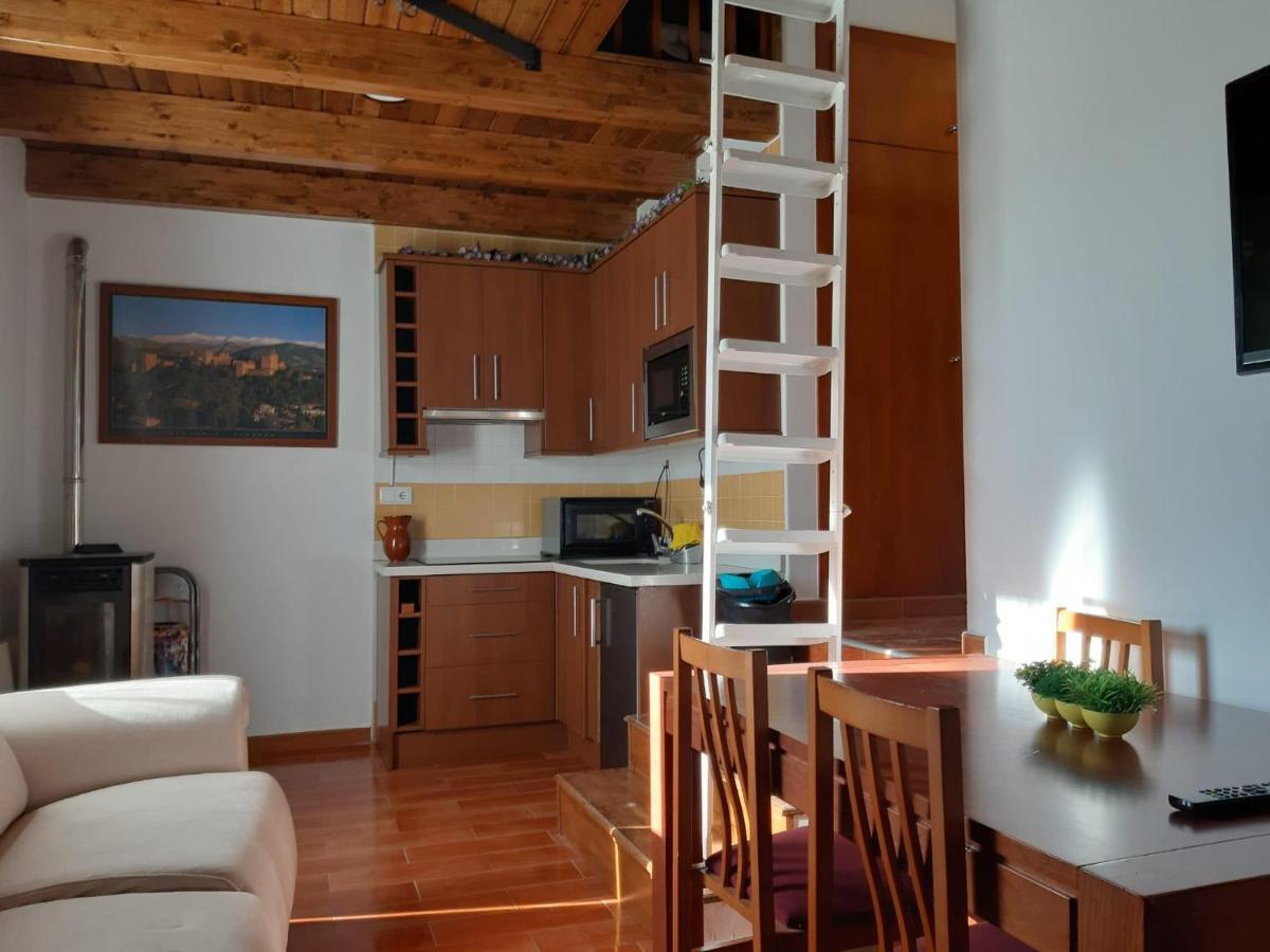 Domus Apartment *