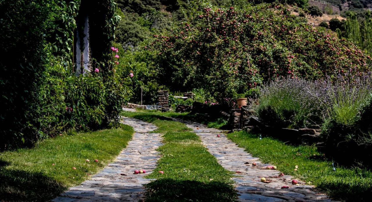 Casa rural Cortijo Catifalarga Alpujarra Capileira