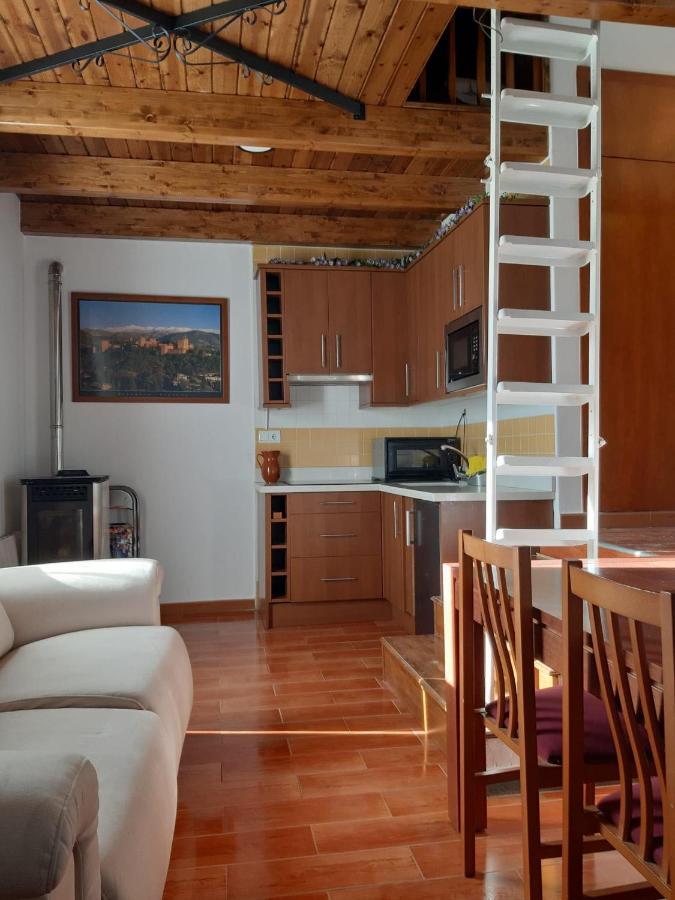 Domus Apartment Sierra Nevada