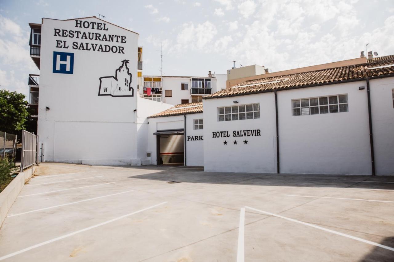 Salvevir Ejea De Los Caballeros