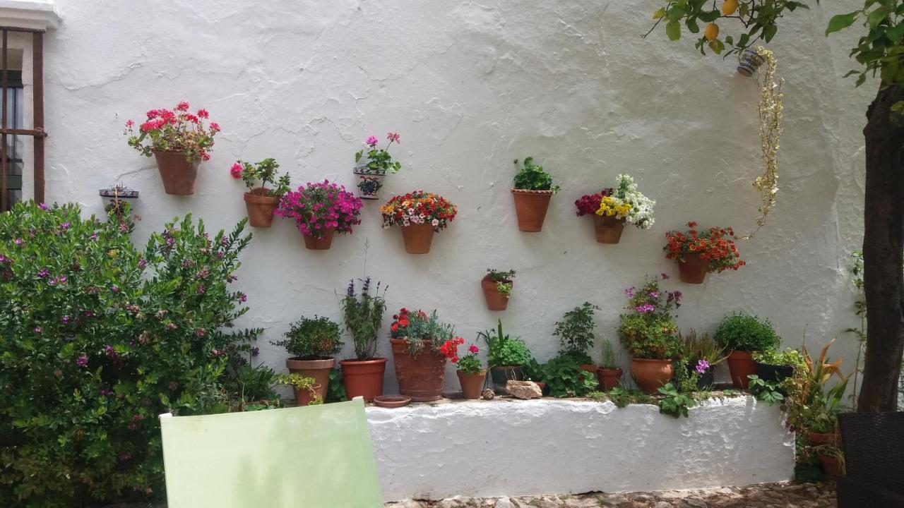 La Favorita Casa rural
