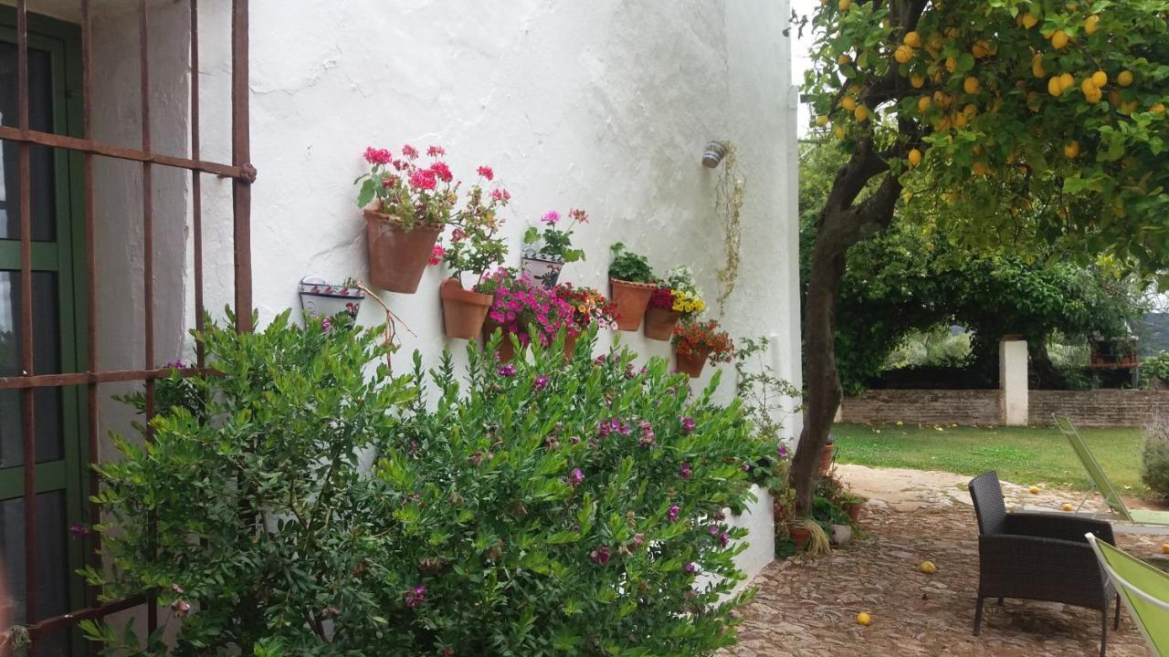 La Favorita Casa rural Constantina