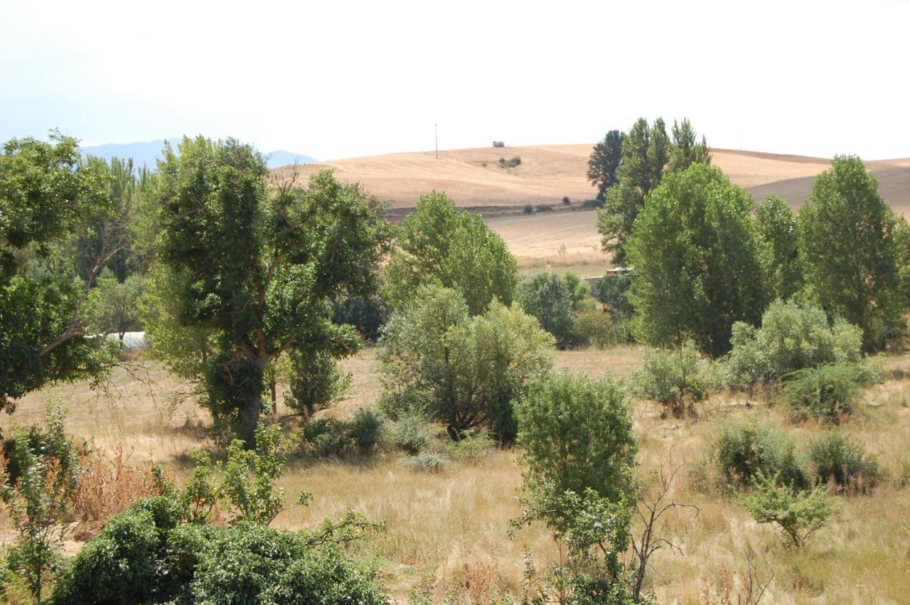 Casa Luna Lunera Country house Ayllon