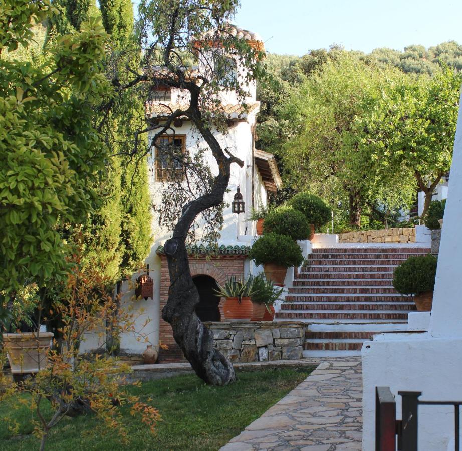 Cortijo La Fe Casa rural Montefrío