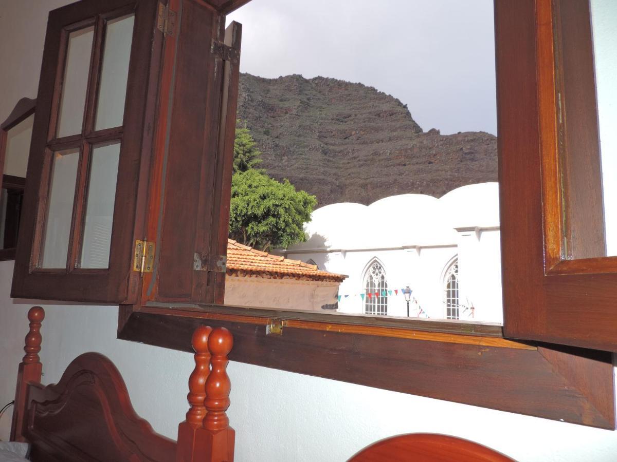 Helechos Agulo