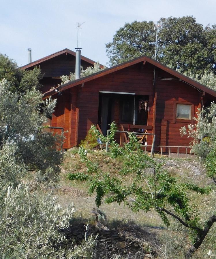 Holiday home Casa La Colina Mandarina I