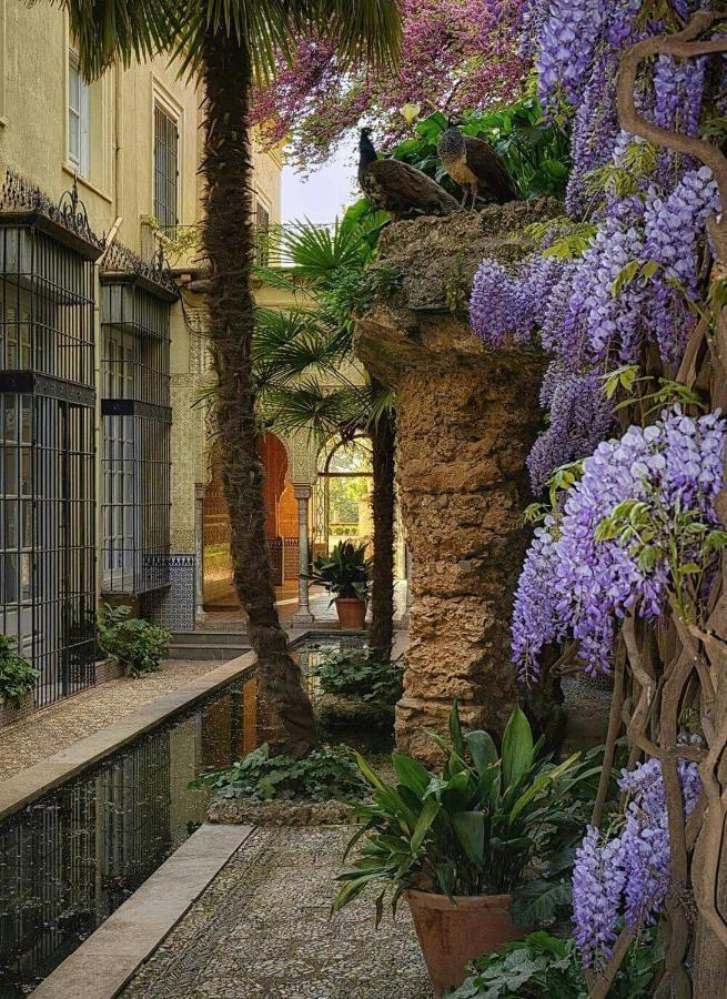 Center Granada