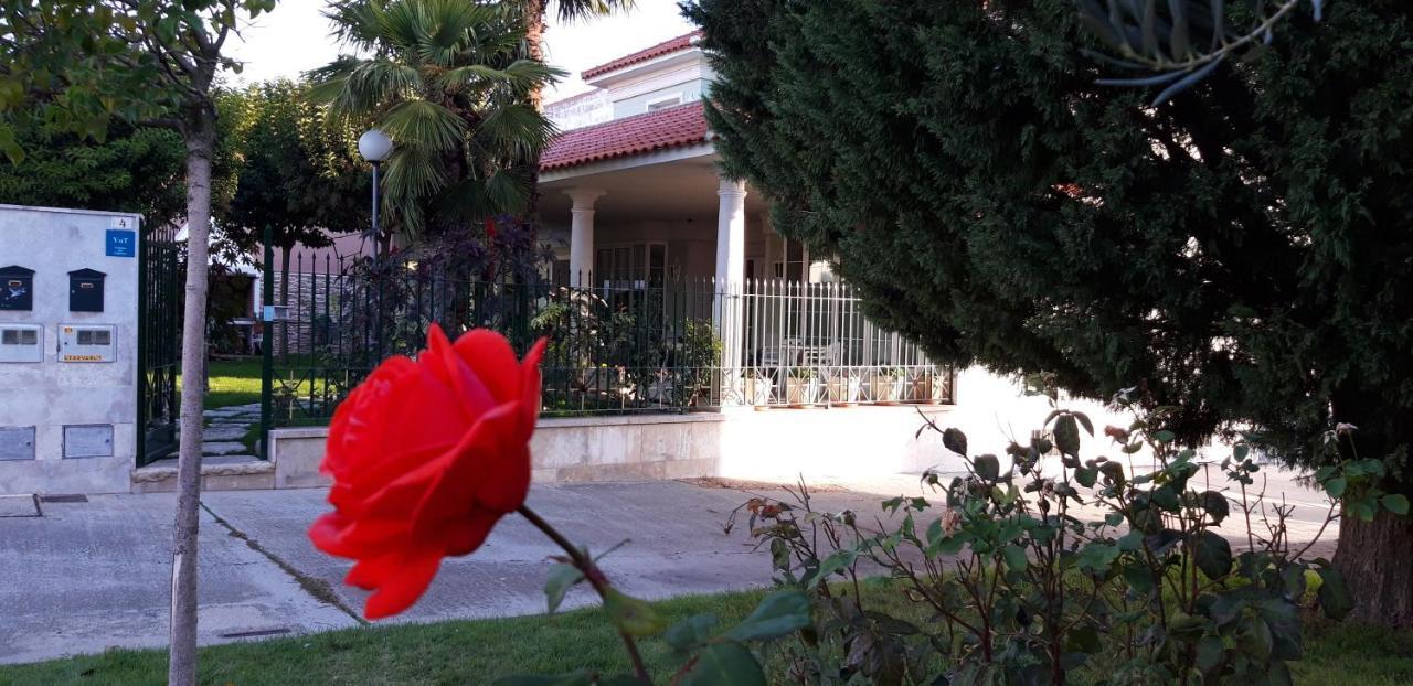 El Olivo Tordesillas