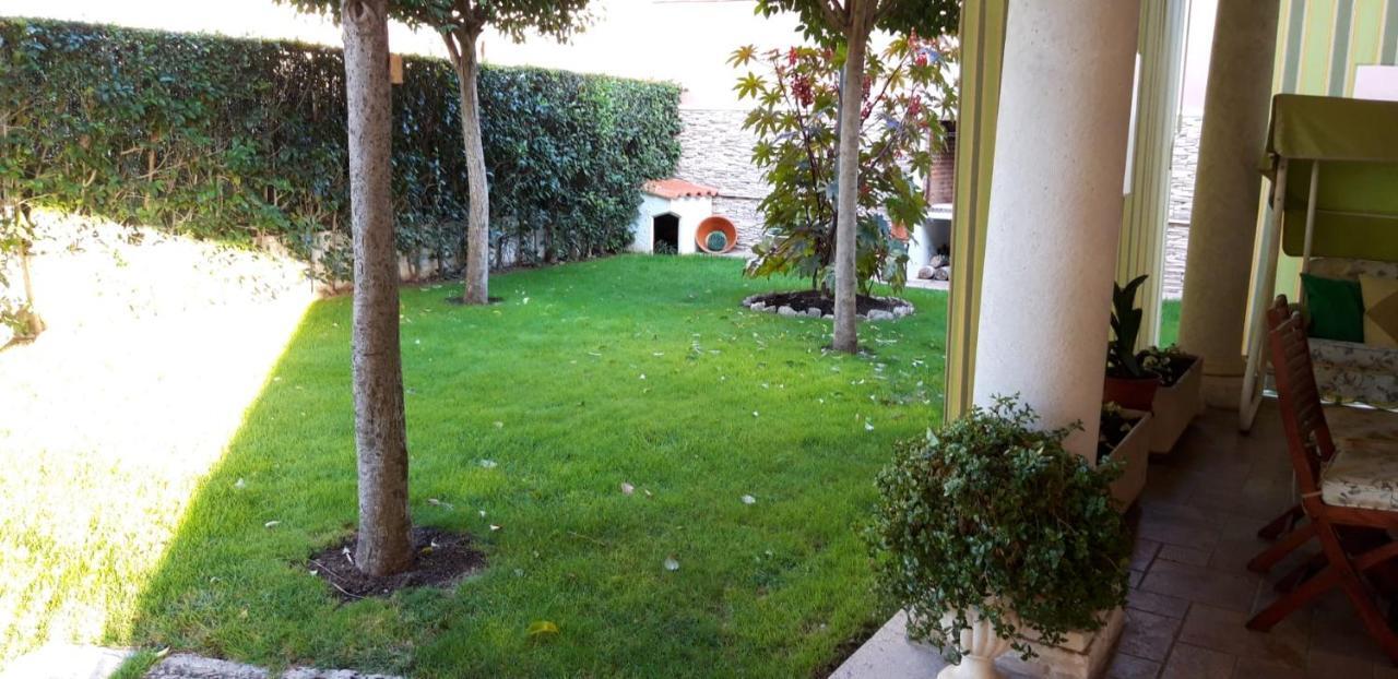 El Olivo Holiday home Tordesillas