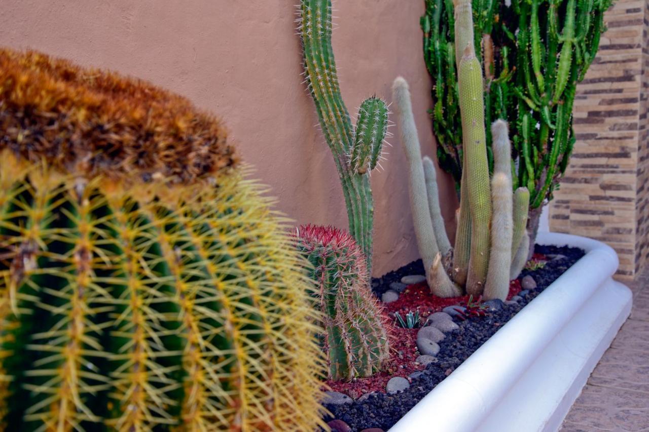 Lagaete Duplex Agaete (Gran Canaria)