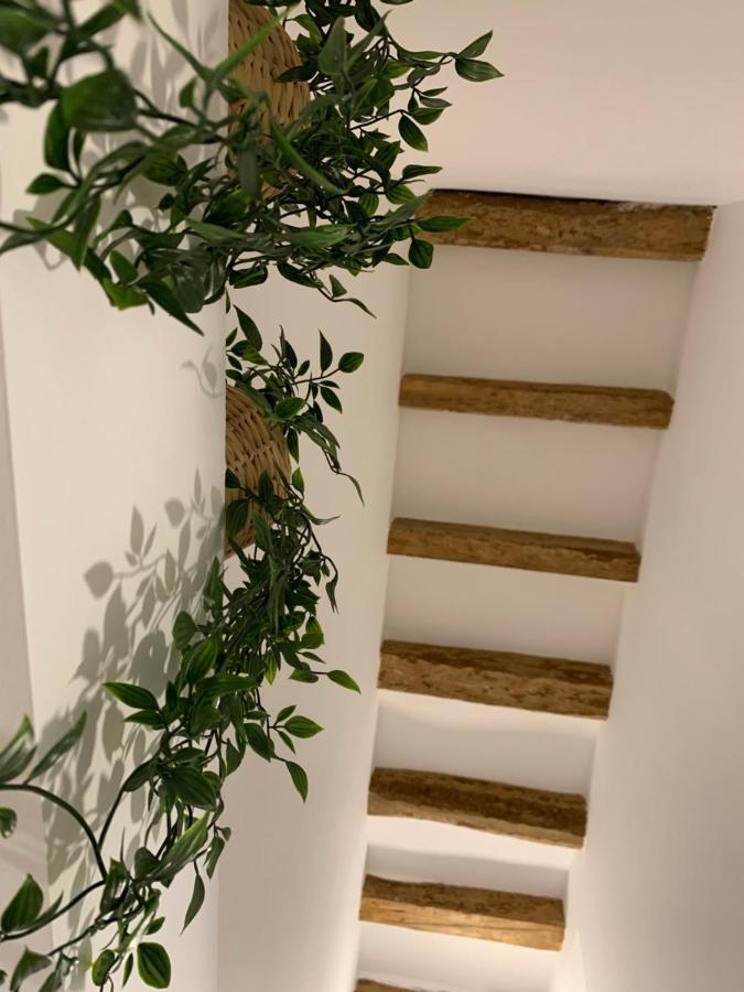 Apartamento Impro