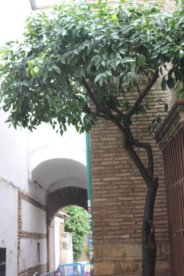 Loft En Casco Historico Con Cochera Wifi Y Tv Satelite Gratis Apartamento