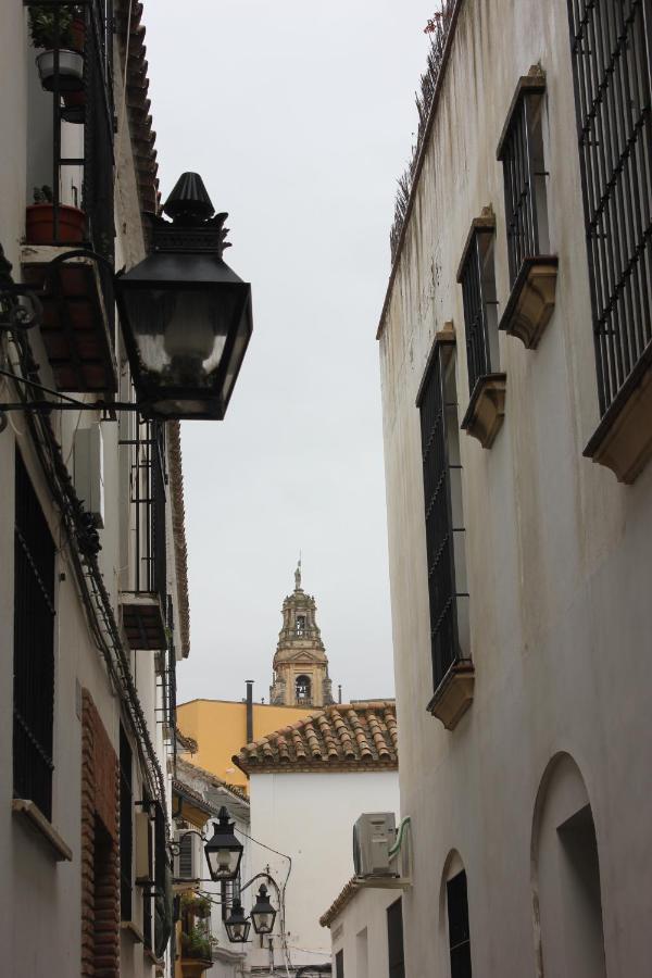 Loft En Casco Historico Con Cochera Wifi Y Tv Satelite Gratis *