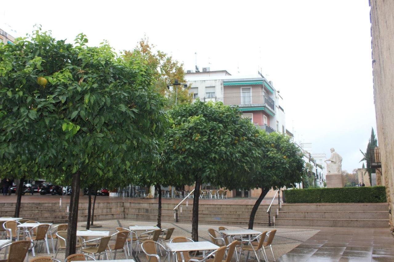 Loft En Casco Historico Con Cochera Wifi Y Tv Satelite Gratis *