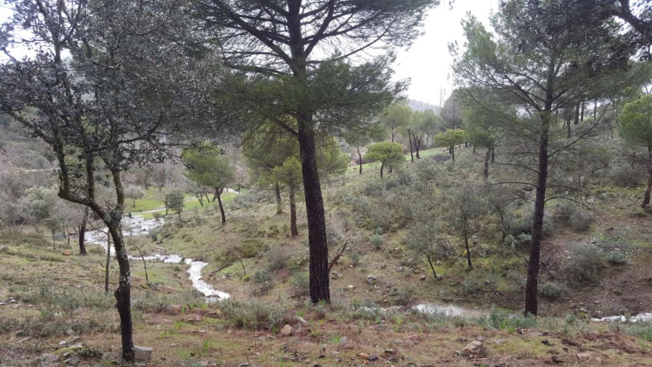 Aguila Imperial Rural Loft *