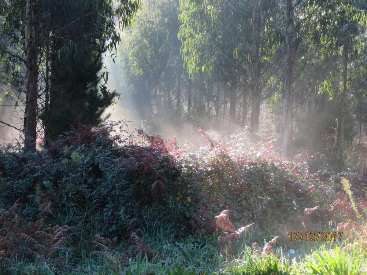 Luz Da Lúa - Casa Del Campo Сasa de vacaciones Muxía