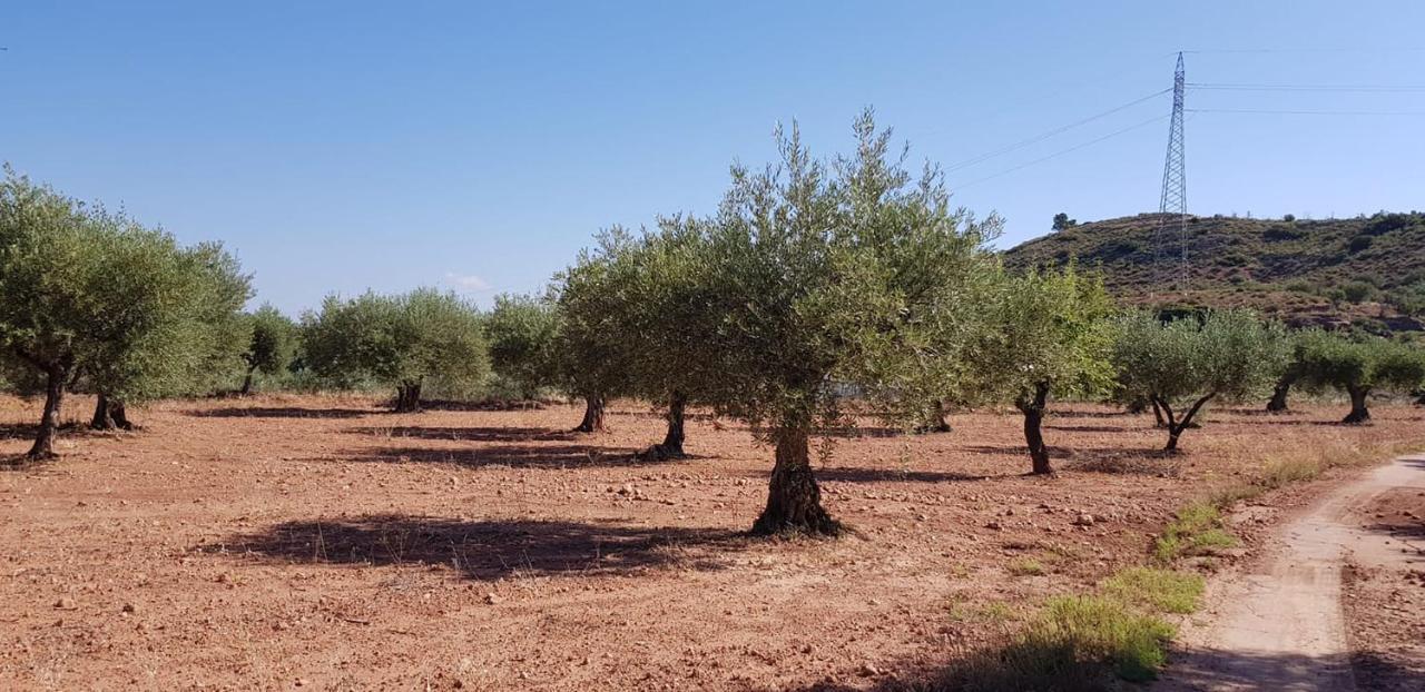 Valley Views Full House Stargazing In Valencia Holiday home