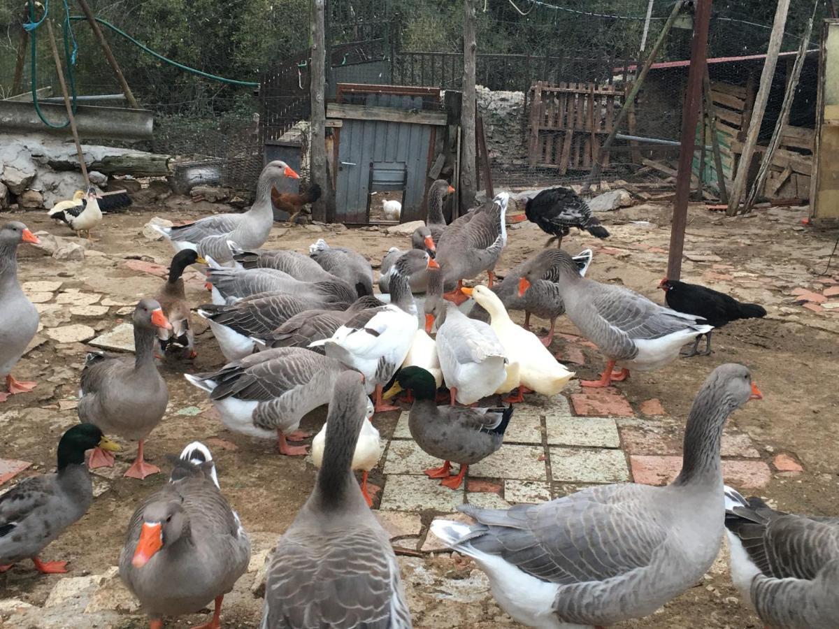 Rural Pantano De Agroturismo