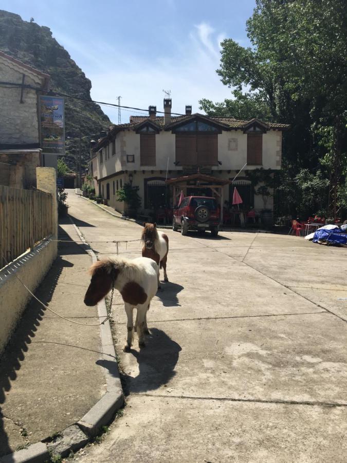 Rural Pantano De Burgomillodo