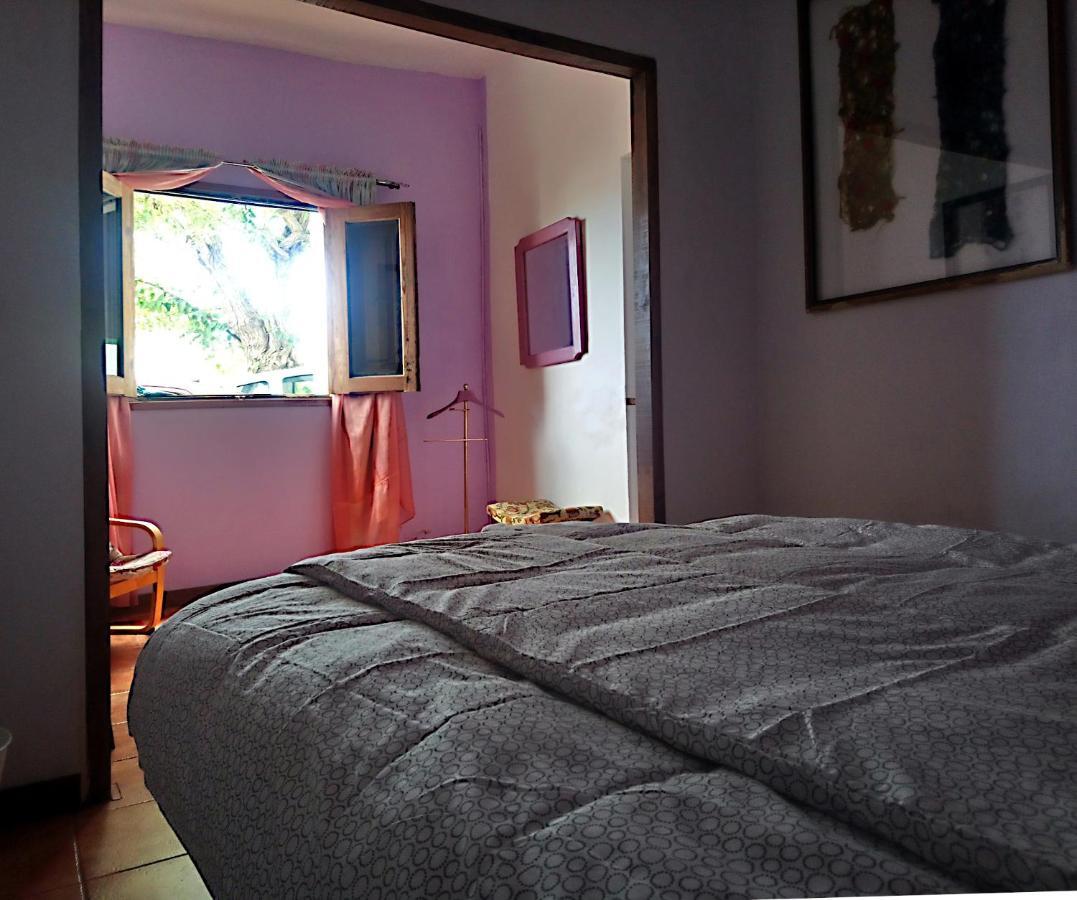 The Violet House Muy Cerca Del Aeropuerto Tenerife Norte Habitación en casa particular La Laguna (Tenerife)