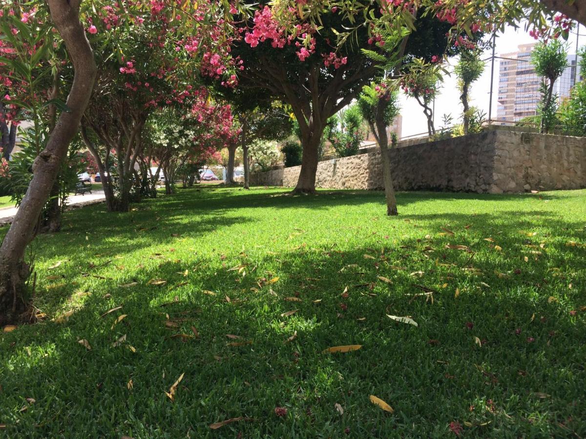 Apartment Club Del Mar L25