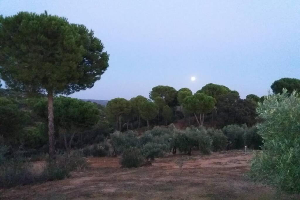 Viña Olivas Сasa de vacaciones Andújar