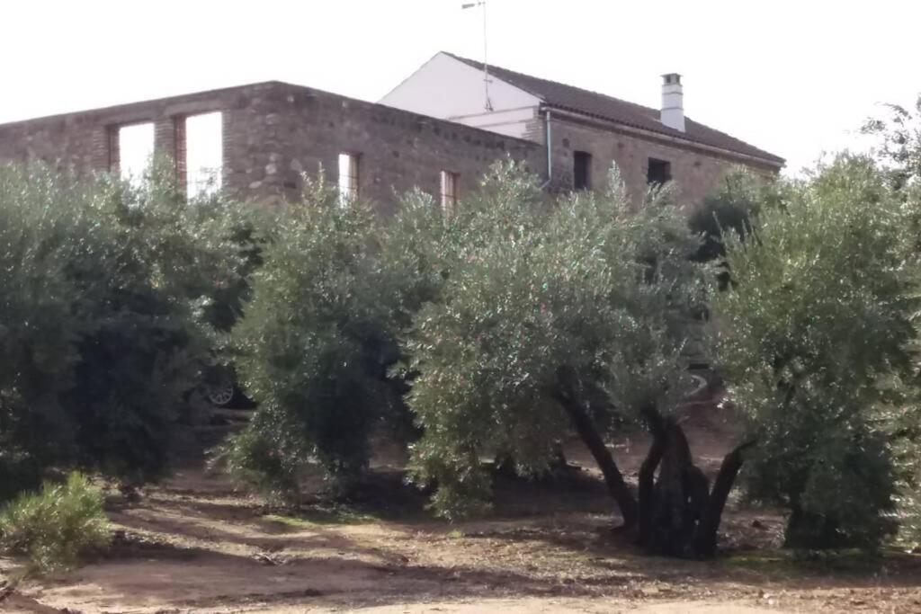 Viña Olivas Сasa de vacaciones Andújar
