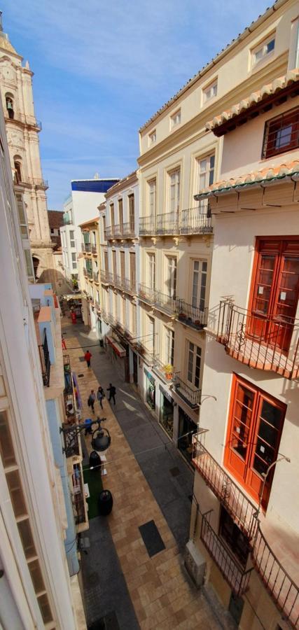 Fan Flat San Juan * Malaga