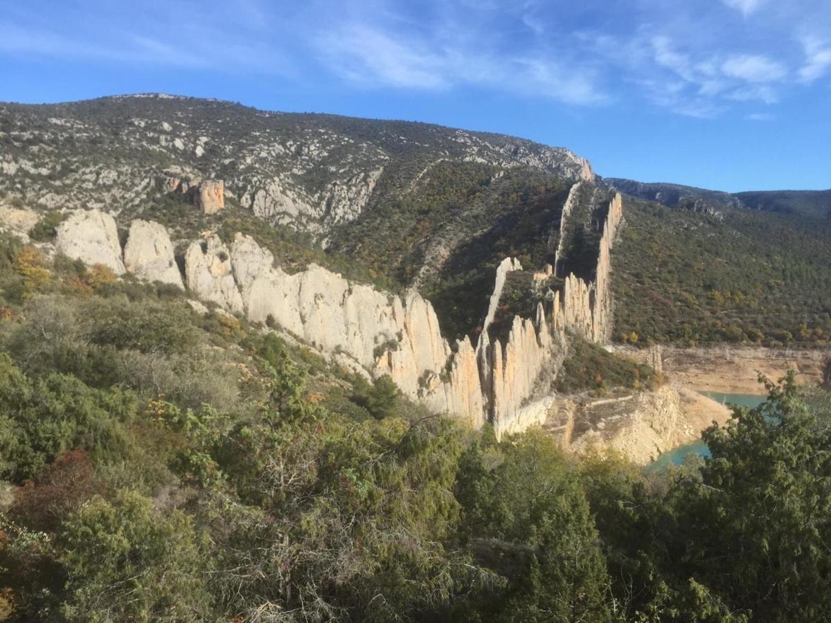 Cinca Pirineo En Apartamento