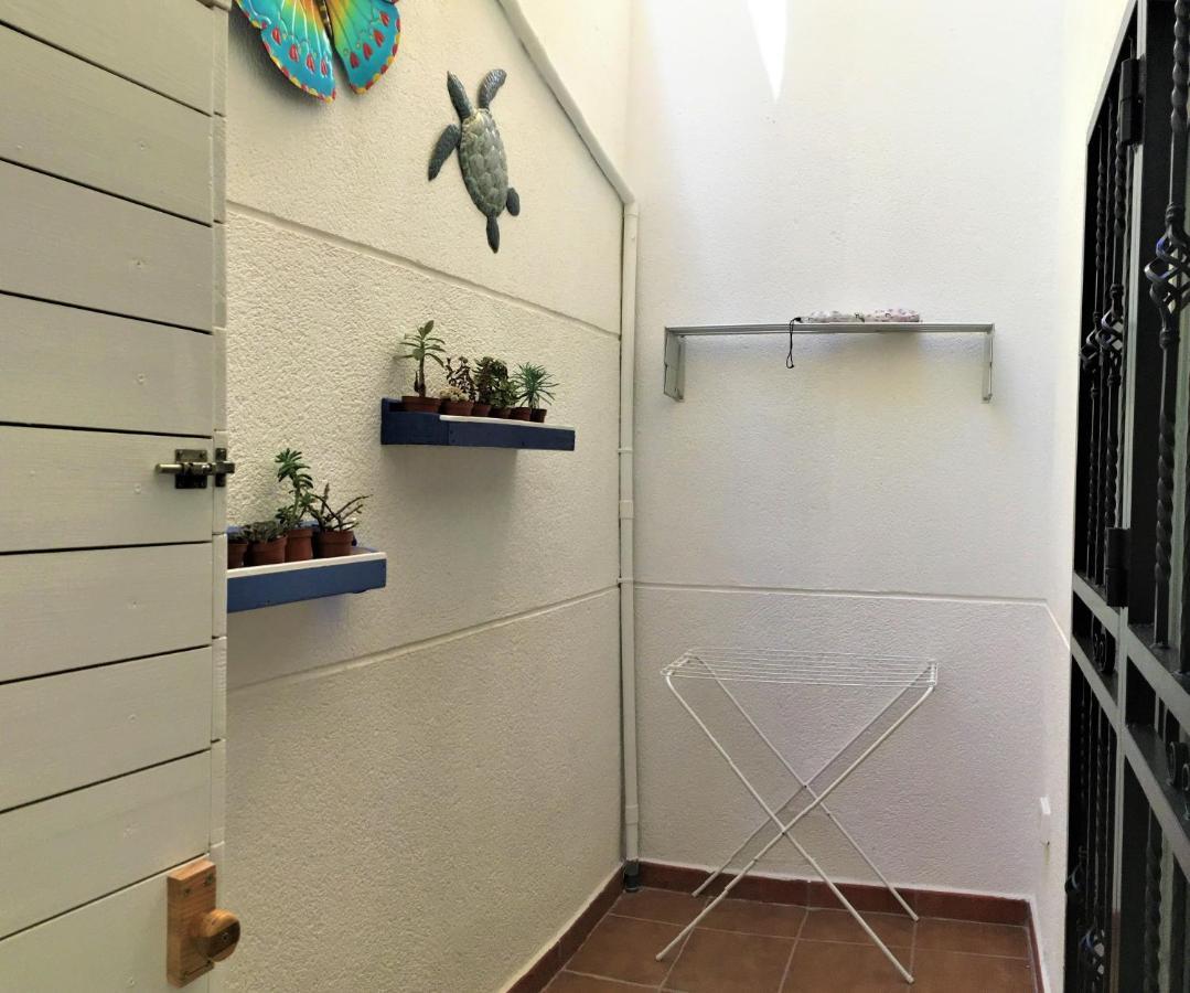 Apartment Tortuga's Mood