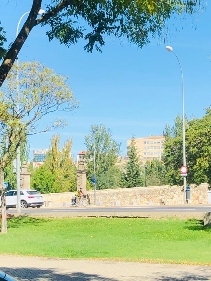 Apartamento Turistico Puente P3 Bajo - B