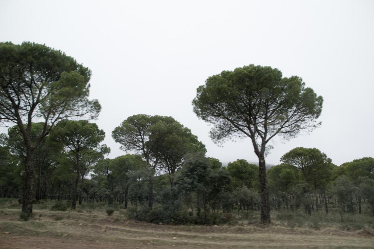 Casa rural Del Herrero Madridejos