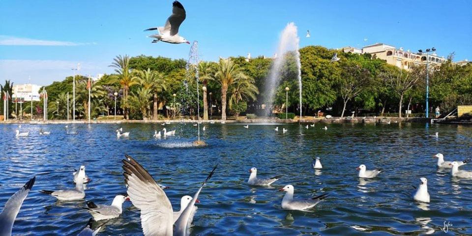 Experience Mar 2 Torrevieja