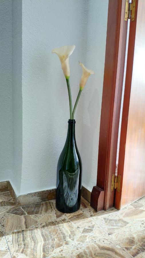Doctor Sapena, 29 Alicante