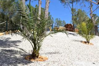 Fabiola (adults Only) Hotel