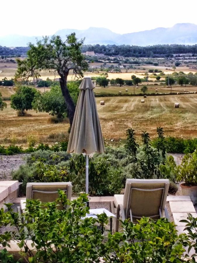Farm stay Agroturismo Sa Rota D' En Palerm