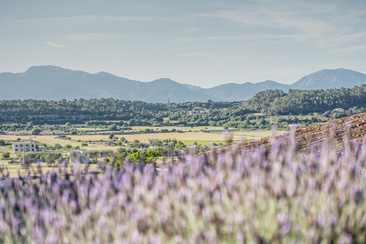 Agroturismo Sa Rota D' En Palerm Farm stay *