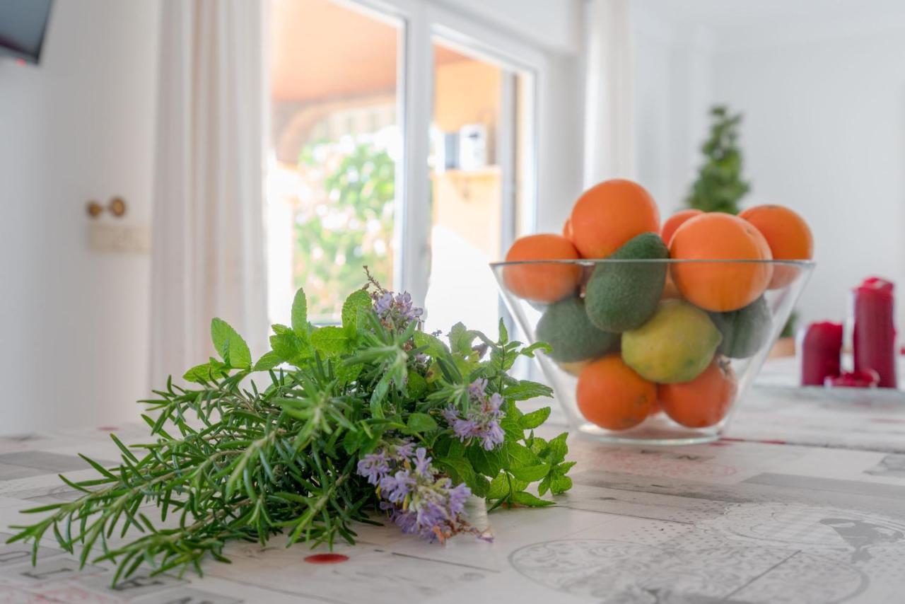 Finca Las Velas Primera Planta Holiday home *