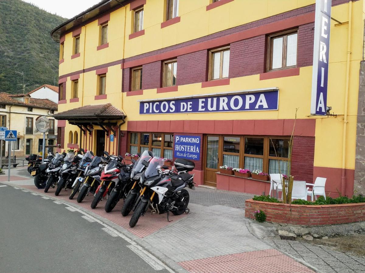 Pensión Picos De Europa 2*