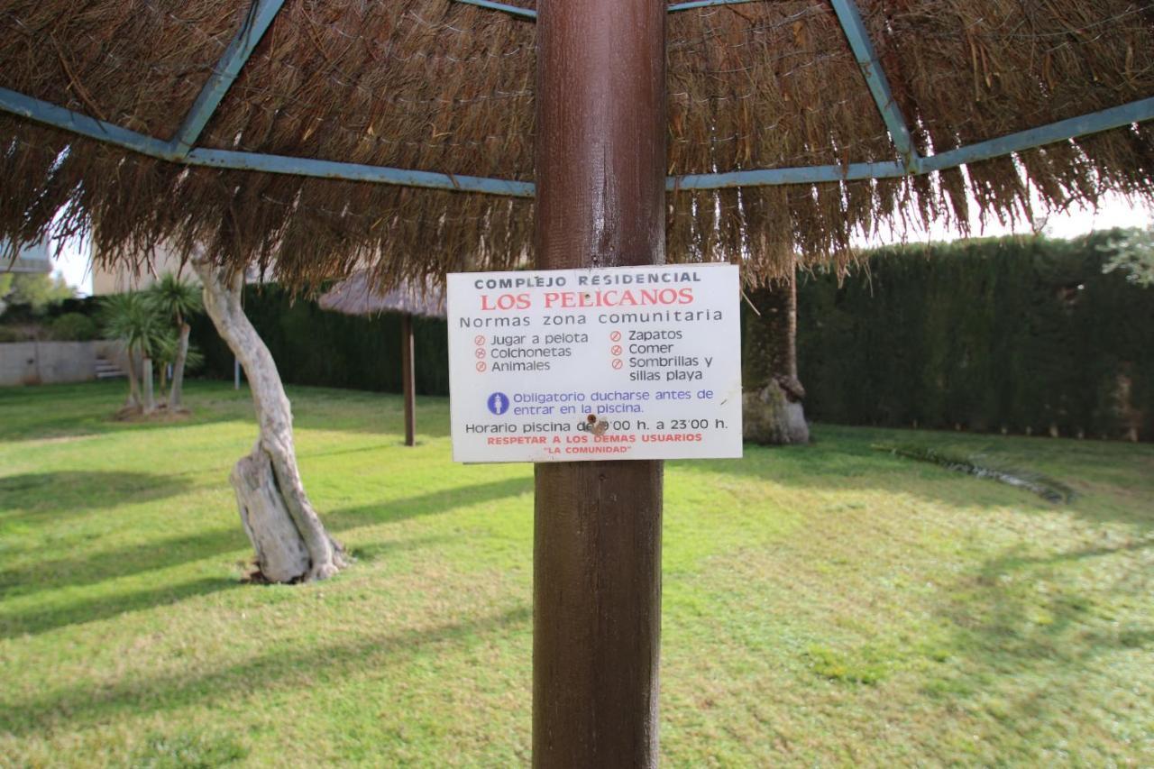 Apartment Pelicanos *