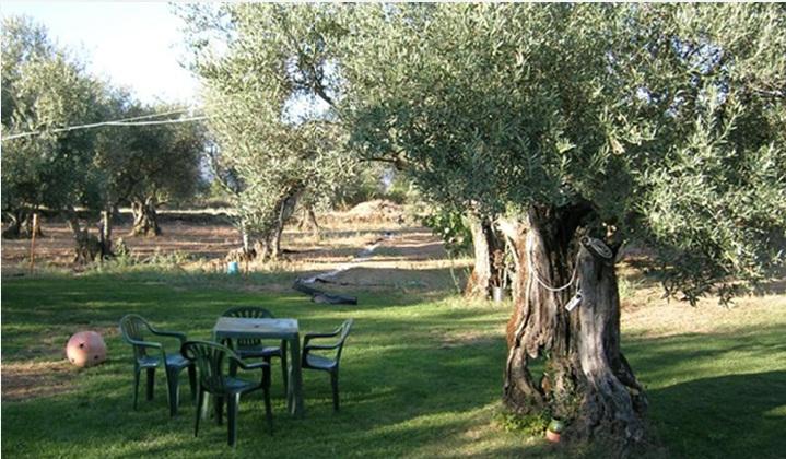 Rural Hojaranzos 3*