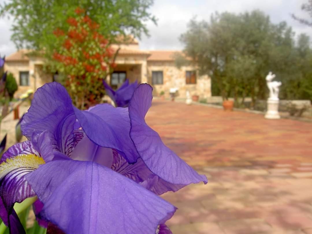 Casa Rural Esmeralda Сasa de vacaciones