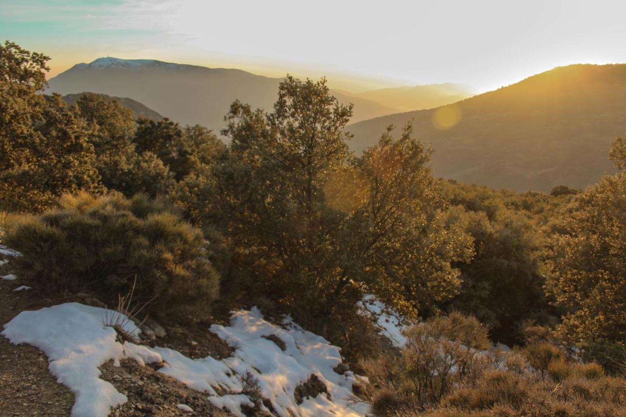 Cortijo Catifalarga Alpujarra