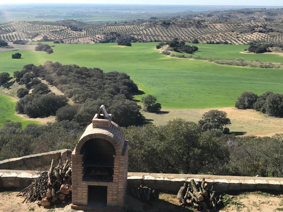 Finca Los Almendros De La Dehesa La Mata (Toledo)
